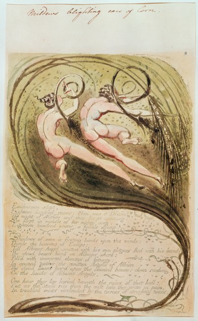 Muffa che rovina le spighe di grano da William Blake
